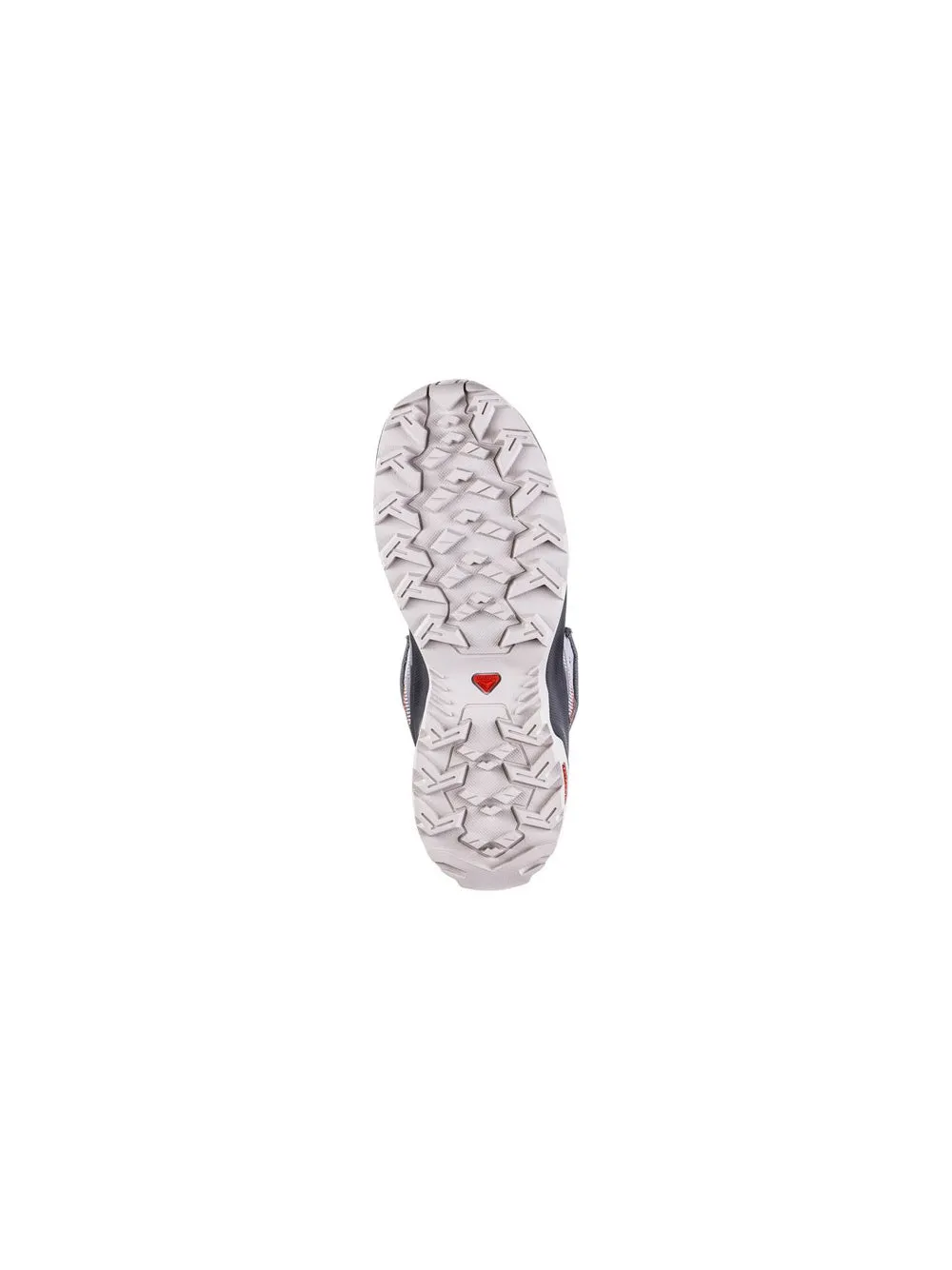 Ardent W - Gull Plum Kitten