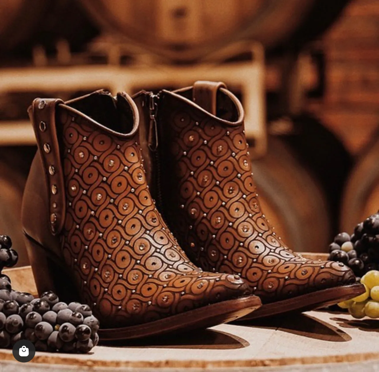 Botin de Dama Cuadra 3F65RS