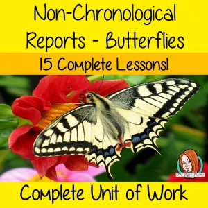Butterflies Reports Unit of Work