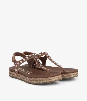 judith / hazelnut castoro