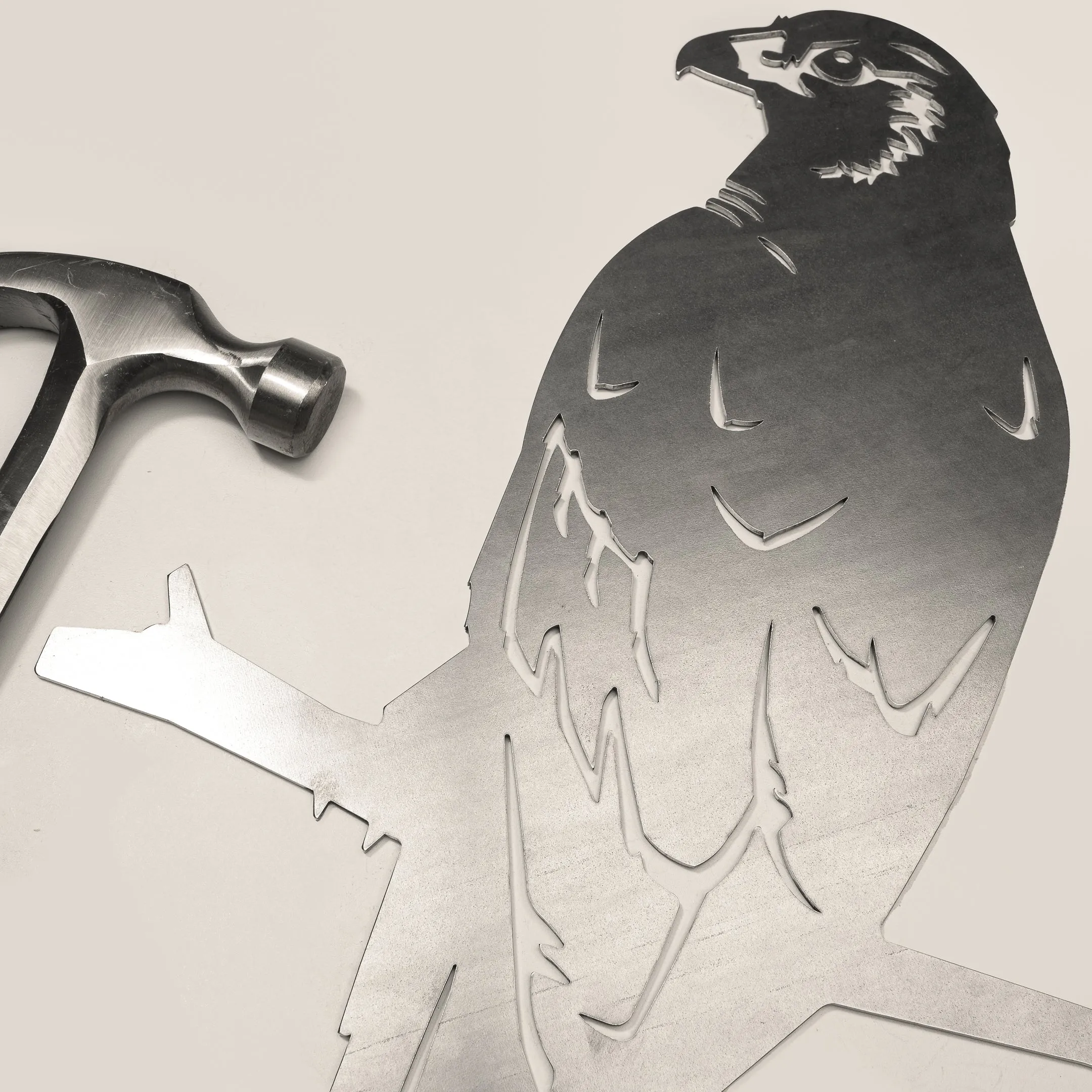 Kāhu