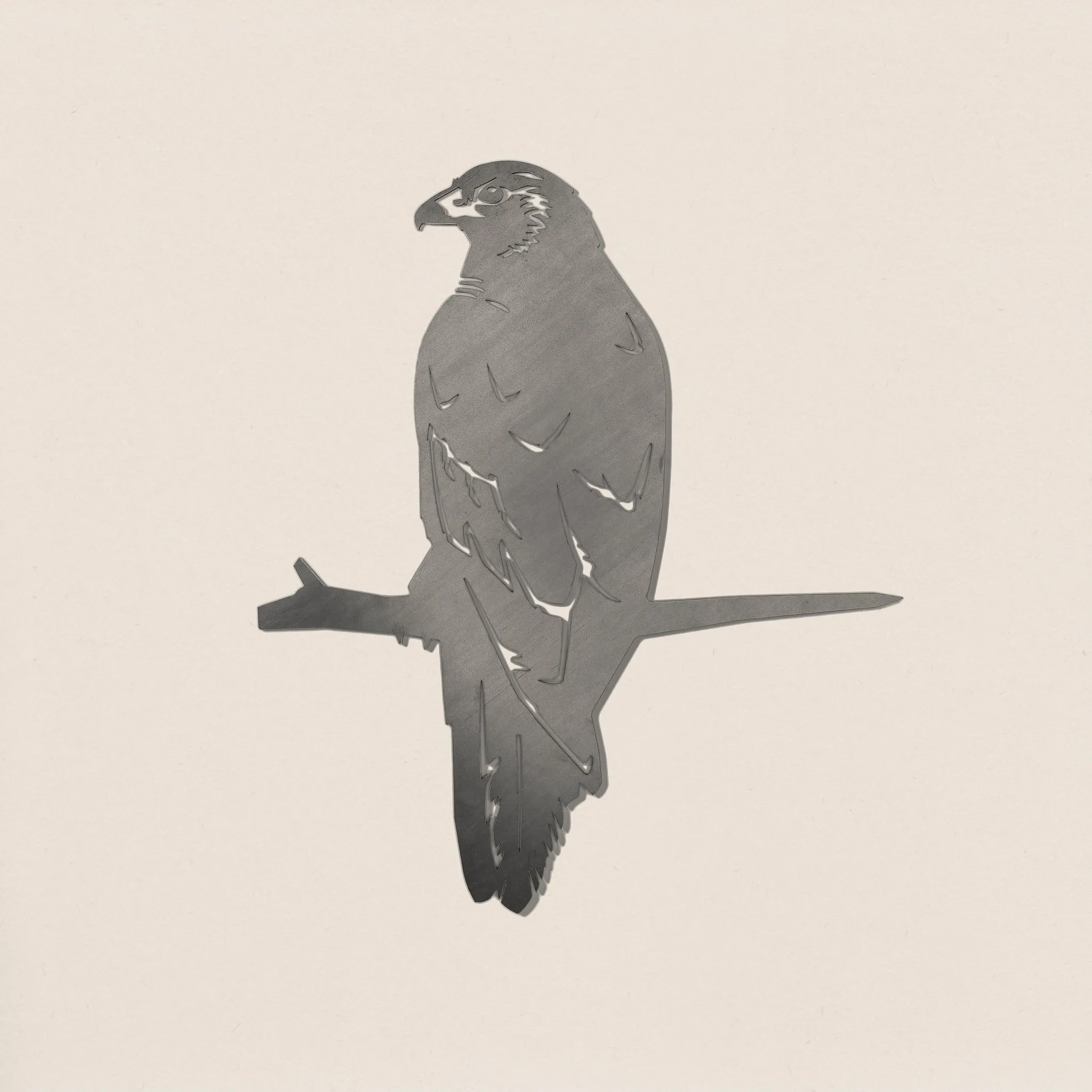 Kāhu