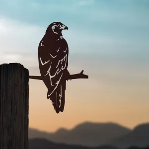 Kāhu