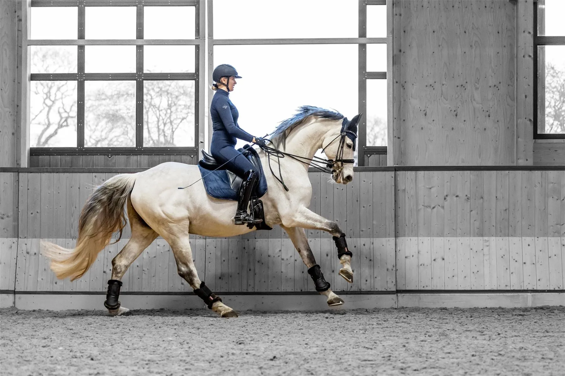 LeMieux Dressage Work Pad