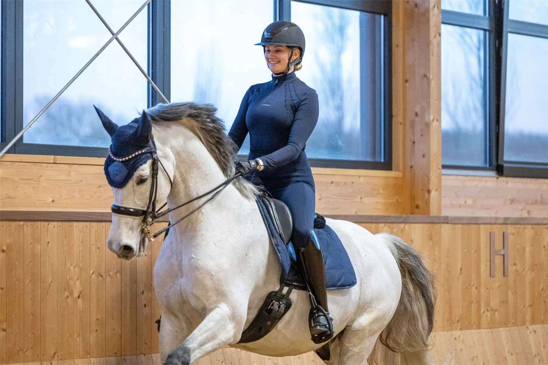 LeMieux Dressage Work Pad