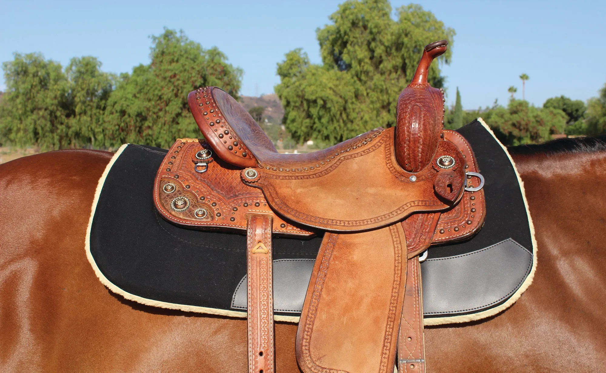 Professionals Choice Contoured Work Pad